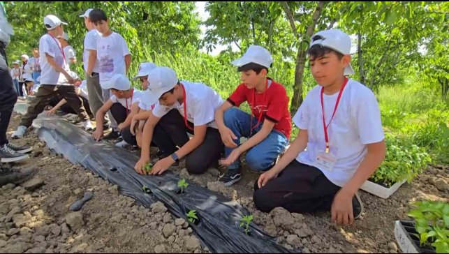 Bingöl'de TÜBİTAK 4004 başarısı