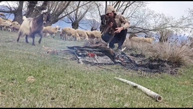 Doluya yakalanan sürüde ıslanan oğlağı ateş yakarak ısıttı