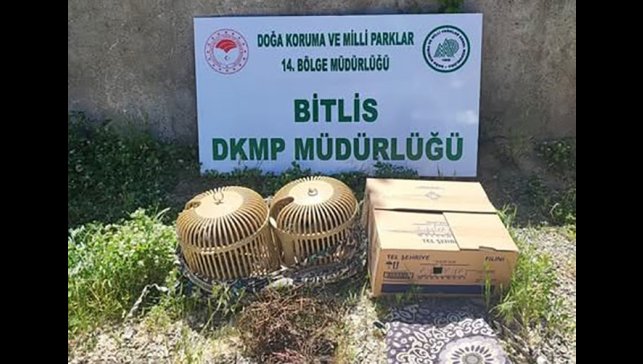 Bitlis'te kaçak keklik aylayan kişiye 63 bin TL idari para cezası uygulanacak