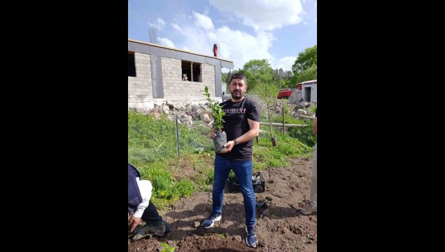 Ardahan'da bir ilk; Çay kökleri toprakla buluştu