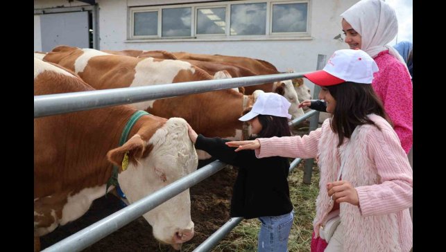 Aileyle üretim yolculuğu: Modern tesislerden tandıra, nesiller buluştu