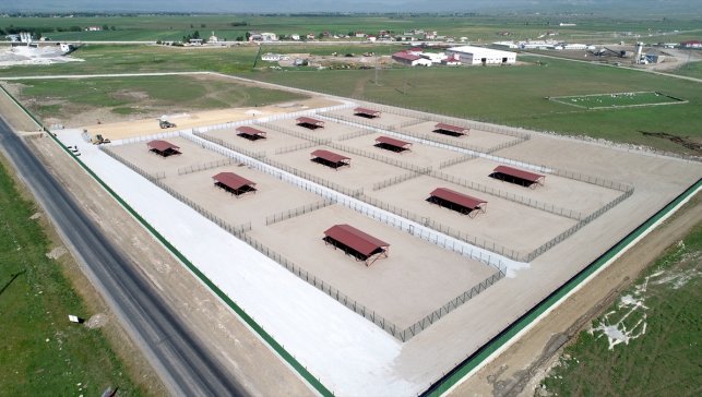 Muş'ta Hayvan Barınağı ve Doğal Yaşam Alanı inşaatında son aşamaya gelindi