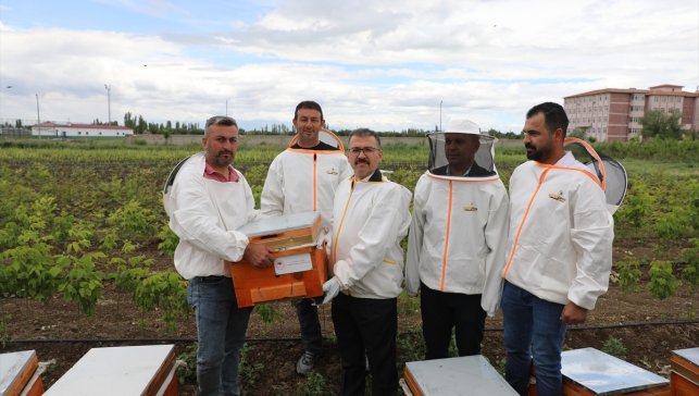 Iğdır'da bal üreticilerine 200 kovan dağıtıldı