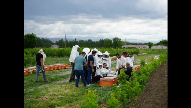 Iğdır'da arı kovanı dağıtım töreni düzenlendi
