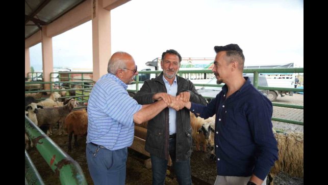 Muş'ta kurban pazarı hareketlendi: Sıkı pazarlıklar dikkat çekiyor