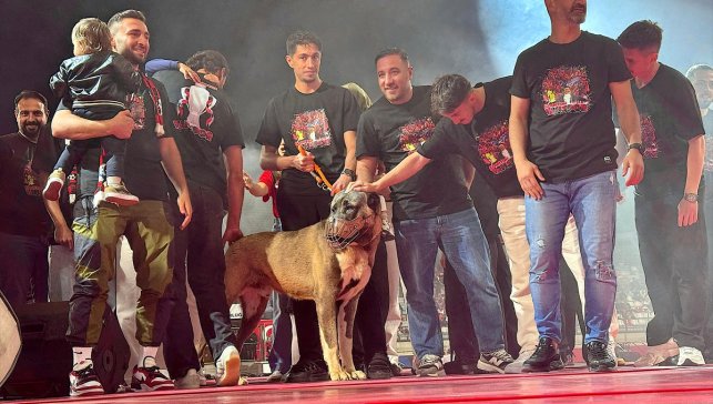 Artı Değer Vanspor'un Trendyol 1. Lig'e yükselmesi coşkuyla kutlandı