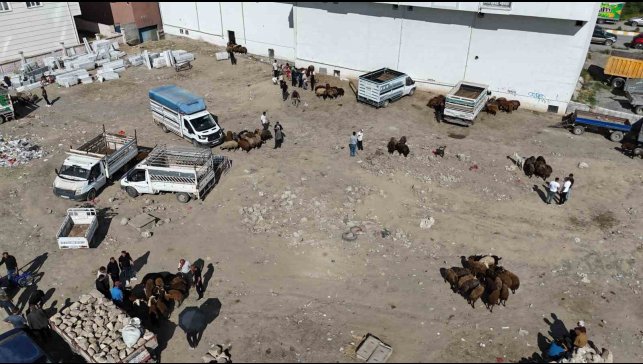 Iğdır'da bayrama 1 gün kala kurbanlık telaşı havadan görüntülendi