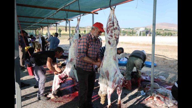 Elazığ'da bayram namazını kılan vatandaşlar, kurbanlarını kesti