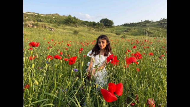 Iğdır'da gelincik tarlaları görsel şölen sunuyor