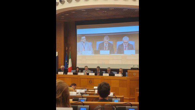 Aydın, İtalya'da AGİT bölgesinde organize suçlarla mücadeleye ilişkin parlamentolar arası konferansa katıldı