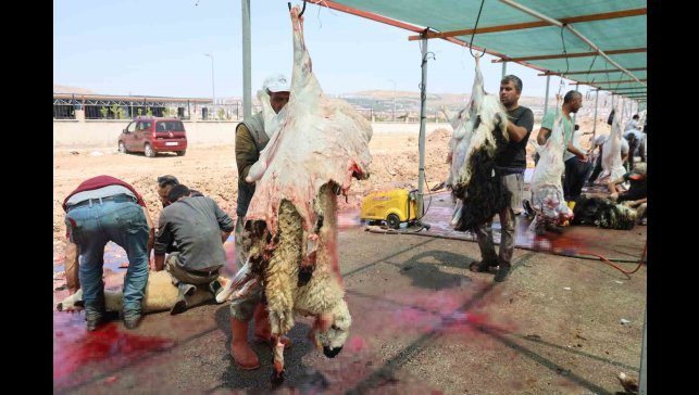 Elazığ'da bayramın üçüncü günü de kurban kesimi devam etti