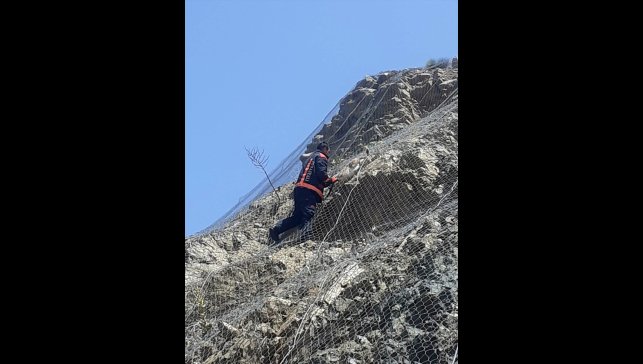 Malatya'da koruma tellerine takılan 2 yaban keçisi kurtarıldı