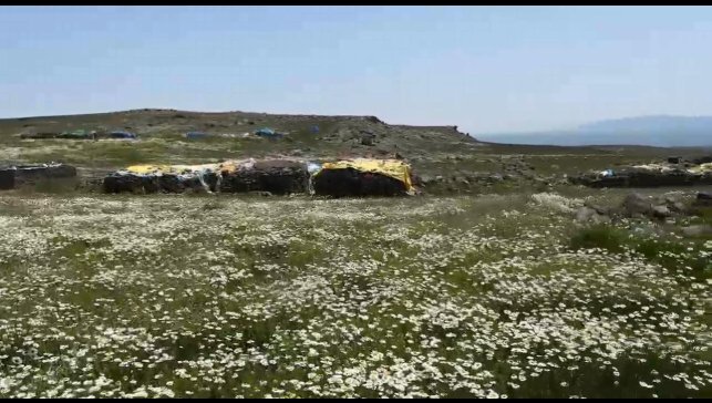 Kars'ta köylüler yaylaları imece usulü hazırlıyor