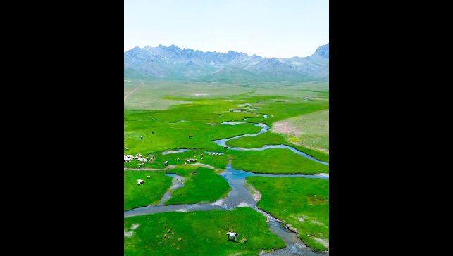 Alendeşt yaylası, menderesleri ve sarı çiçekleriyle büyülüyor