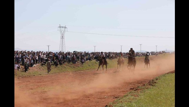 Hınıs'ta geleneksel At Yarışı Festivali