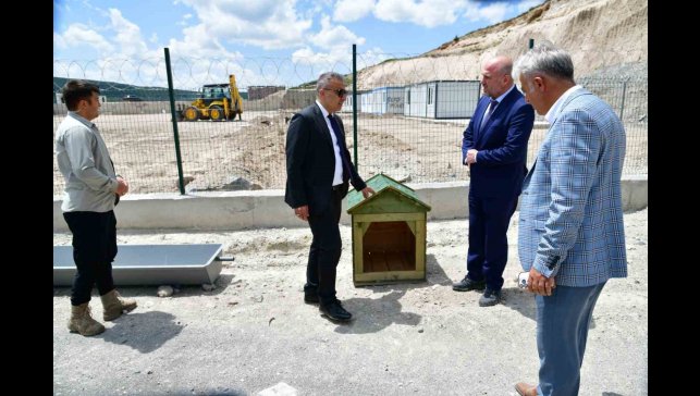 Ardahan'da sahipsiz hayvanlara yeni bir yuva