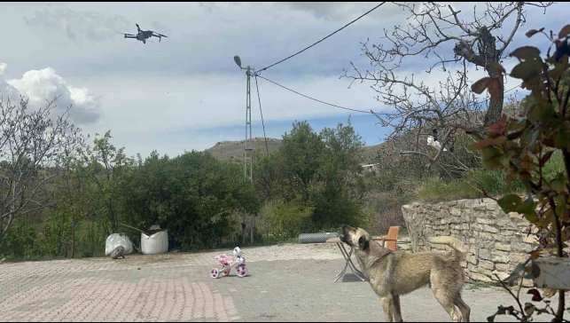 Köpeğin dron ile imtihanı gülümsetti