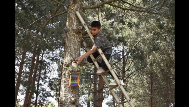 Öğrenciler atık su bidonlarından kuş yuvası yapıp millet bahçesine astı