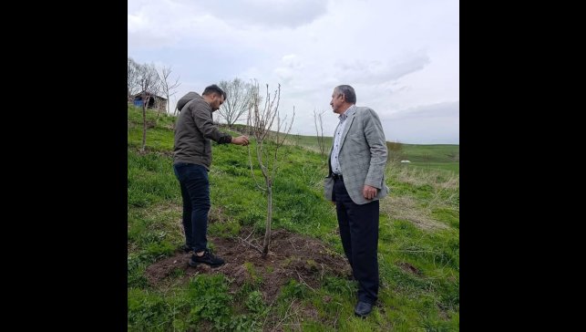 Hamur'da Çiftçilere budama ve aşılama eğitimi verildi