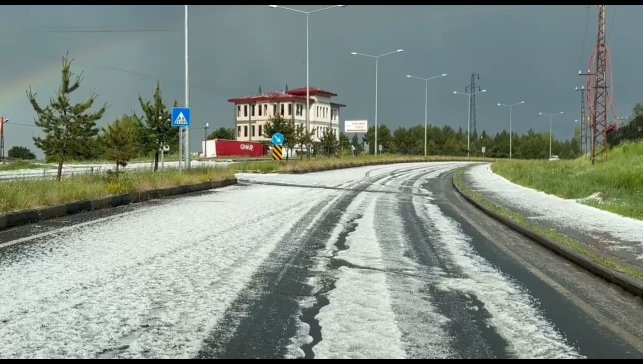 Sarıkamış'ta dolu yağışı hayatı olumsuz etkiledi