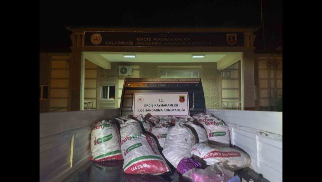 Erciş'te 2 ton kaçak avlanmış balık ele geçirildi