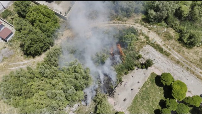 Adilcevaz'da Van Gölü sahilinde yangın paniği: Kafe yakınında sazlık alan yangını