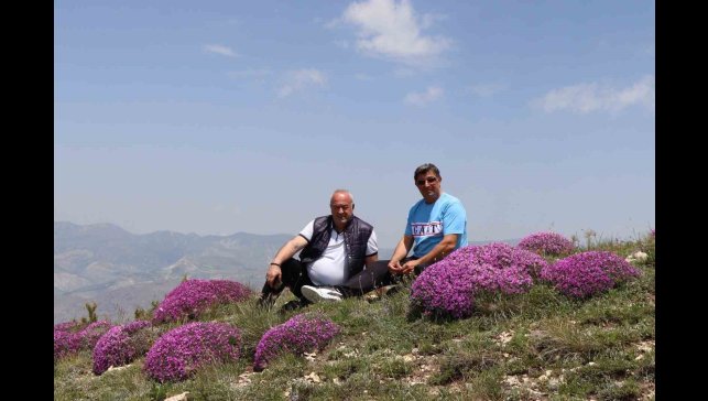 Akdağ'ın zirvesinde fuşya renkli görsel şölen