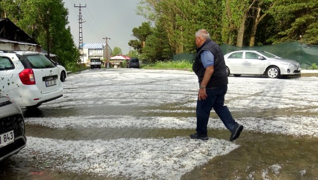 Kars'ın Sarıkamış ilçesinde sağanak ve dolu etkili oldu