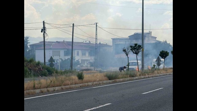 Iğdır'da yaşlı kadın uluslararası yolun ayırıcı kısmındaki otları ateşe verdi