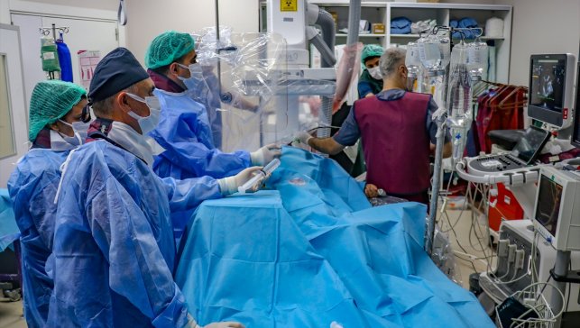 Almanya'da yaşayan kalp hastası, Van'da sağlığına kavuştu