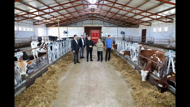 Vali Aydoğdu Düve Üretim Merkezi'nde incelemelerde bulundu