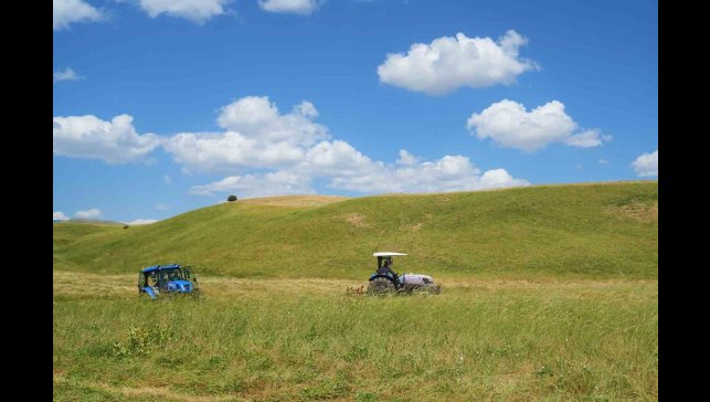 Muş'ta çiftçilerin ot biçme mesaisi başladı