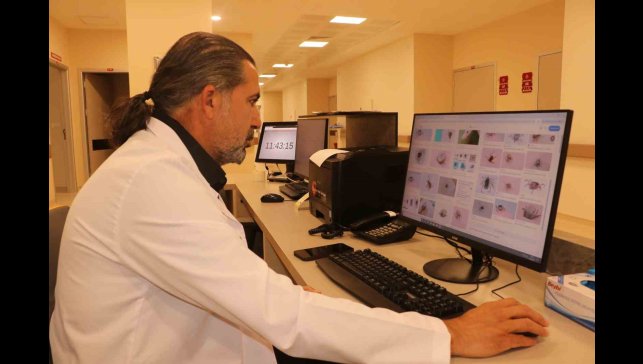 Uzmanından kene uyarısı; Kapalı giysileri tercih edin!