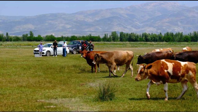 Meralarda su arama çalışmaları yapılıyor