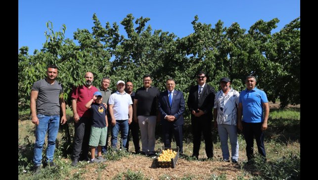 Iğdır Üniversitesi uygulama bahçesinde "Kayısı Hasadı Etkinliği" düzenlendi