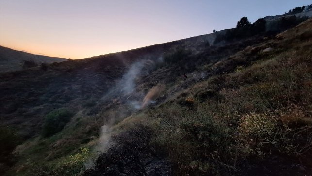 Bingöl'de çıkan orman yangını kontrol altına alındı