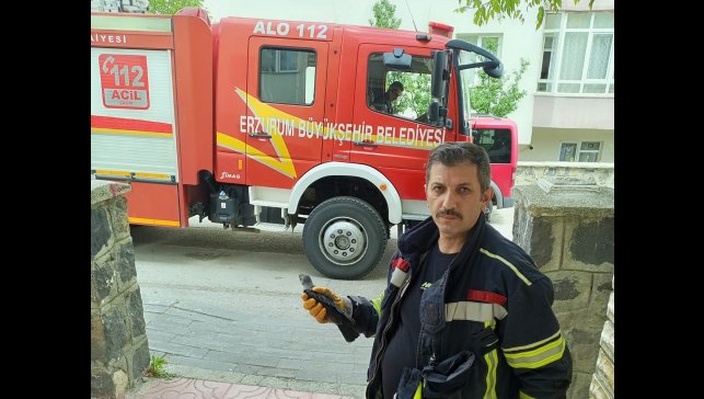 Karga yavrusuna uzanan şefkat eli