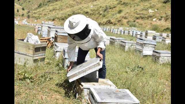 Kuraklık Bitlisli arıcıları kara kara düşündürüyor
