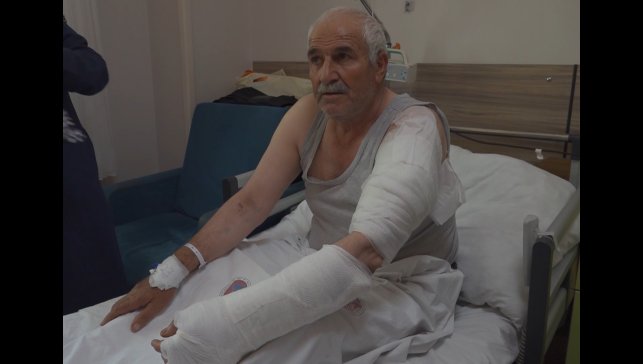 Ot biçen vatandaş kurdun saldırısına uğradı