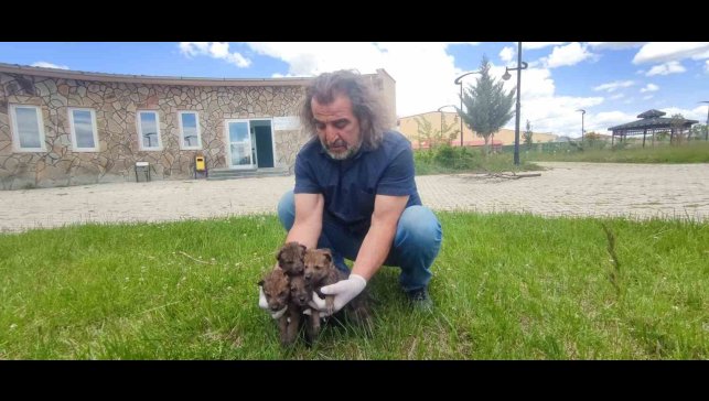 Van YYÜ Yaban Hayvanları Merkezi, yaban hayvanlarına kreş hizmeti sunuyor