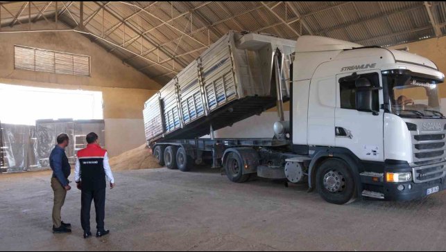Erzincan'da hububatta ilk hasat başladı