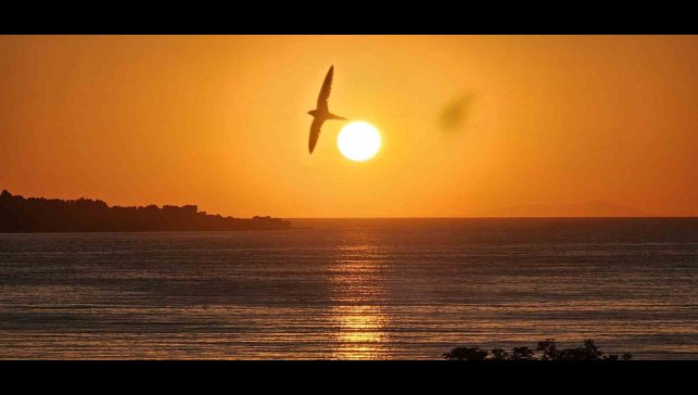 Van Gölü'nün kalbinden doğan güneş hayran bıraktı