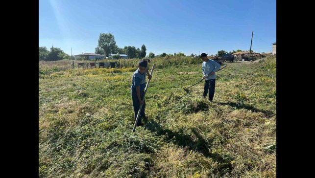 Akyaka'da ot biçimi başladı