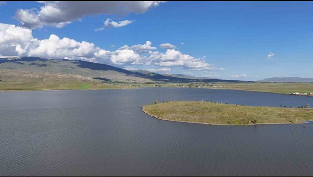 Patnos Barajı'nda balık çeşitliliği azalıyor
