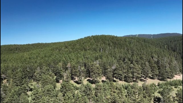 Kars'ta 1 Temmuz'da itibaren ormanlık alanlara girmek yasaklandı