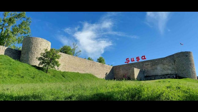 Prof. Dr. Kerem Karabulut: 'Erzurum ve Şuşa kardeşliğinin konsolosluk açılarak süslenmesi gerekiyor'