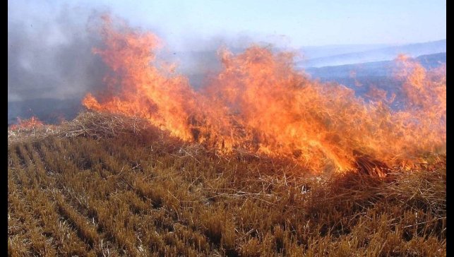 Meteorolojiden Erzincan ve çevresi için orman yangını uyarısı