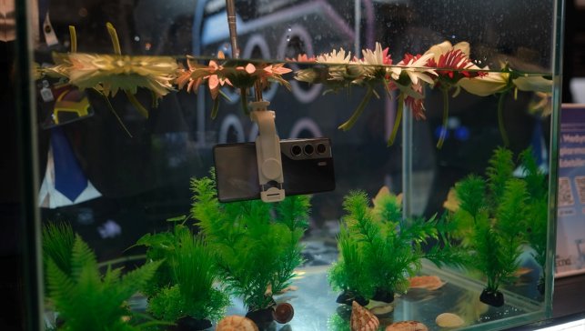 TECNO CAMON 40 serisi, SDN Tech Expo'da tanıtıldı