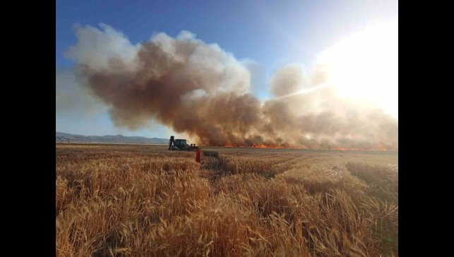 Bingöl'de onlarca dönüm ekili arazi küle döndü