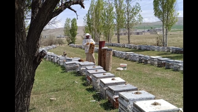 Hakkâri'de kırsala 38 milyon TL hibe desteği